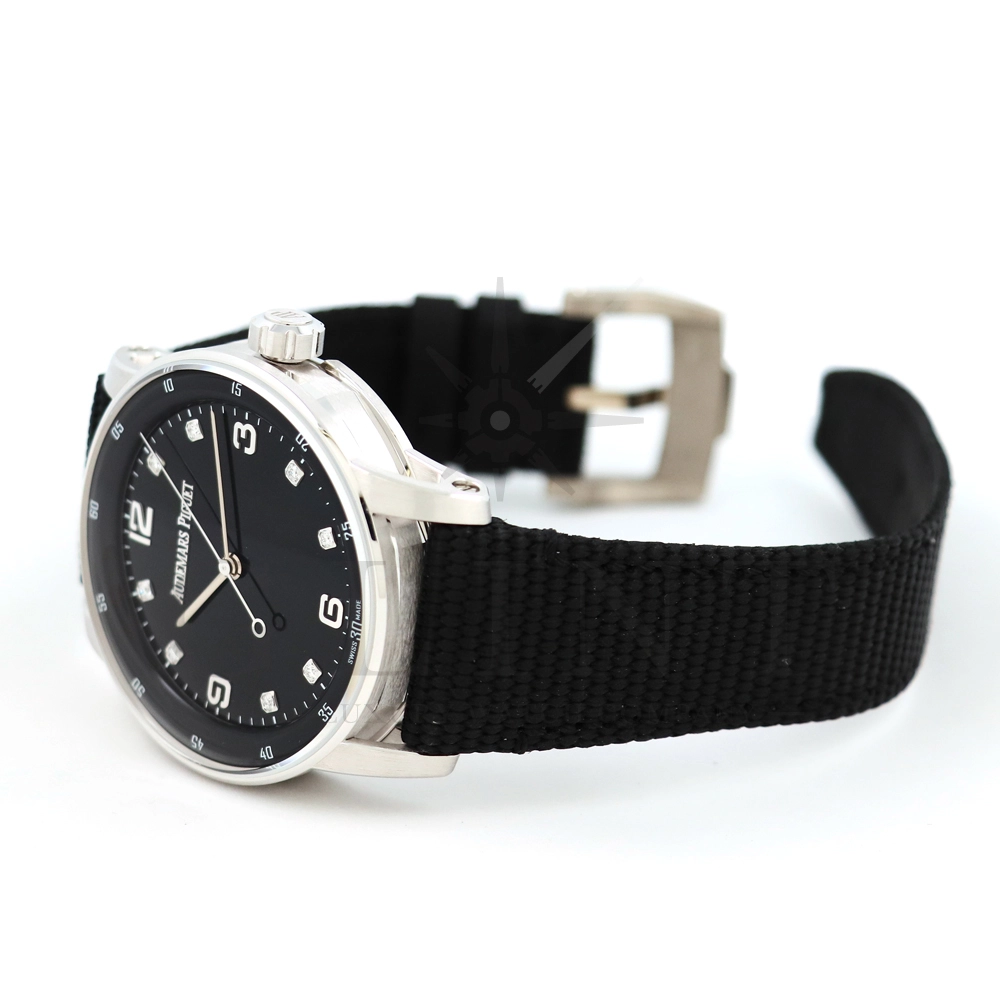 ap032409x