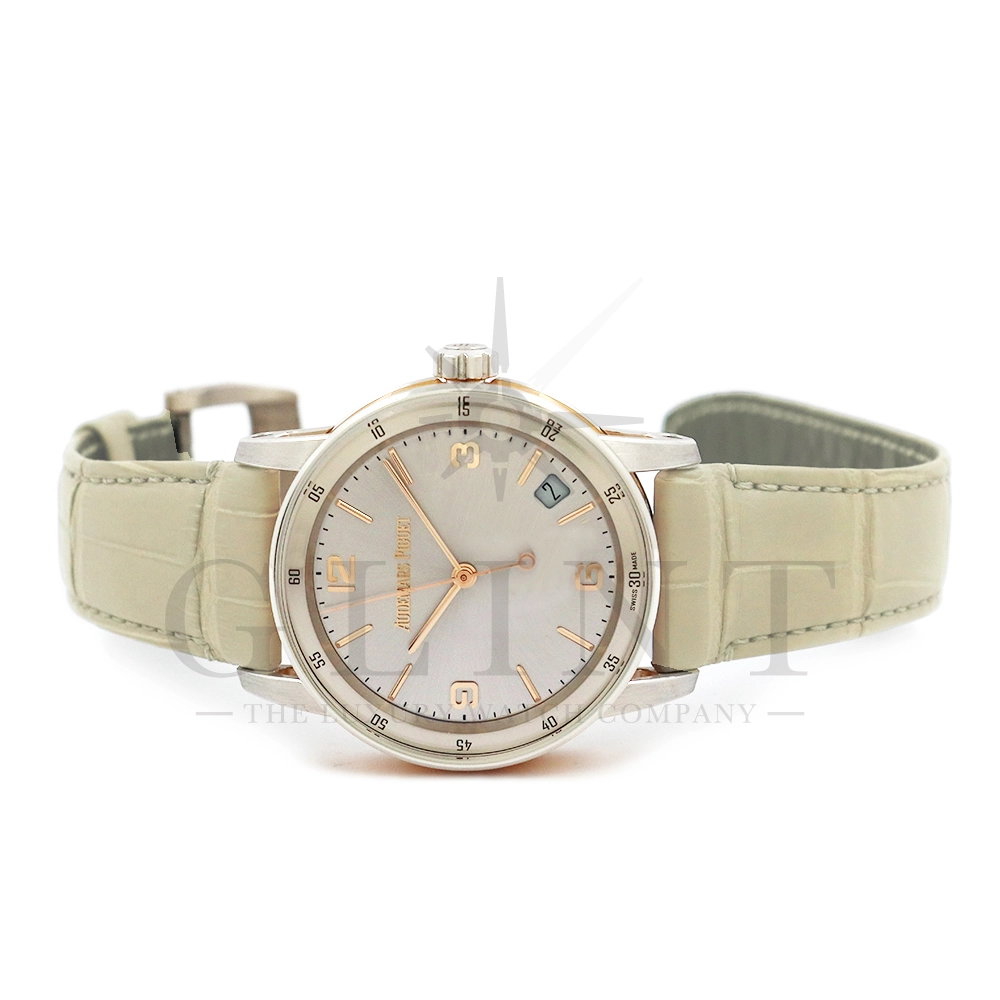 ap040210x